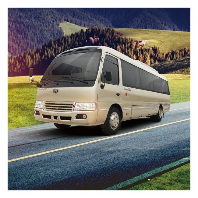 6m 19 énergie de Zev Bus LHD de sièges recherchent Mini Bus électrique pur pendant 89,7 KWHs